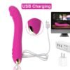 Soft Silicone 10 Modes Vibrator Adult Products 1ef722433d607dd9d2b8b7: China|Russian Federation