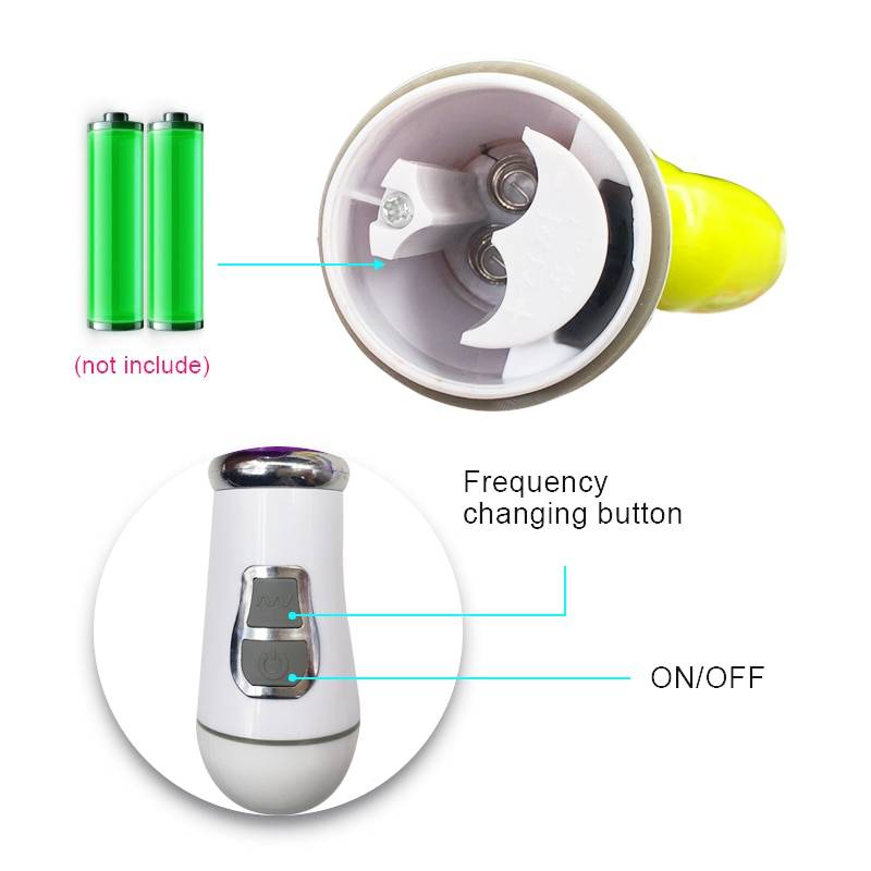 2 in 1 Dildo Vibrator