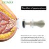 FXINBA 2Pcs Breast Nipple Sucker Clitoris Suction Bdsm Bondage Massager Nipple Vacuum Pump Enlarger Sex Toys for Women Adults Trending Now cb5feb1b7314637725a2e7: size L|size M|size S