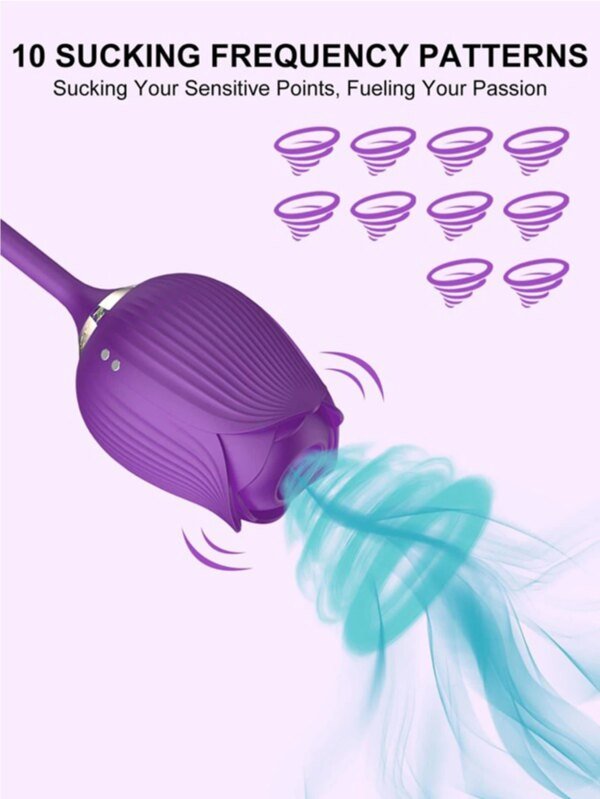 Rose Sucking Vibrator Female Nipple Clit Stimulator Vibrating Egg Dildo Vibrators Clitoris Sucker Masturbation Sex Toy for Women Trending Now cb5feb1b7314637725a2e7: Purple|Red 1-Box